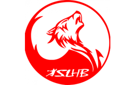 ST LOUBES HB